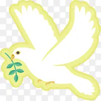 白色和平鸽