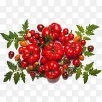 成熟的西红柿菜市场高清免扣素材