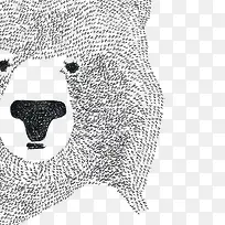 小熊插画