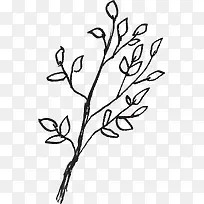线描树枝