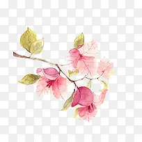 水彩手绘唯美花叶图案