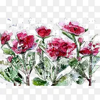 彩绘花卉花朵碎片背景图