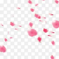 玫瑰花瓣