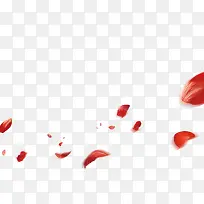 飘洒的红色玫瑰花瓣