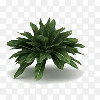 绿色植物3d模型