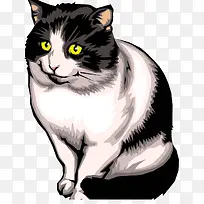 黑色小猫
