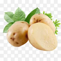 高清摄影小小的土豆
