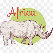 手绘非洲陆上犀牛动物