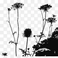 黑色花卉植物背景装饰