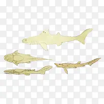 矢量海洋生物化石