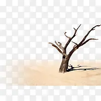 沙漠上的干枯树干团队