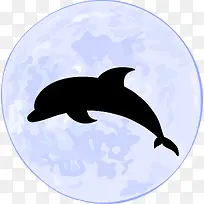 月光下的海豚剪影