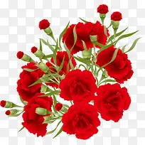 红色手绘的康乃馨