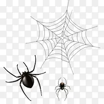 手绘正在结网的蜘蛛