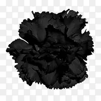 黑色花朵