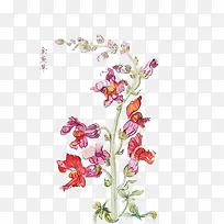 紫色金鱼草手绘素材