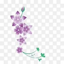 矢量紫色花朵紫草小草