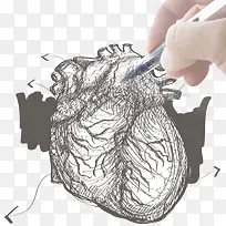 手拿着笔手绘心脏元素