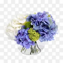 清新的紫罗兰桌花图片素材