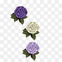 三款紫色紫罗兰玫瑰花