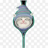 拉链小猫