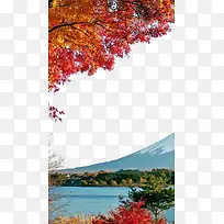 富士山下的秋天