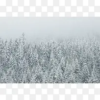 大雪茫茫风景景观