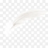 创意白色的羽毛效果