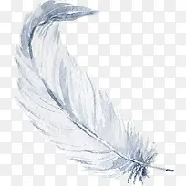 白色手绘羽毛装饰