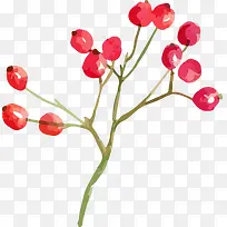 手绘水彩花枝