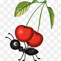 摘樱桃的蚂蚁