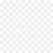 小海豚