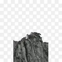 峭壁上的松树