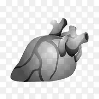 心脏血管矢量图