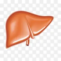 人体部分器官图案肝脏