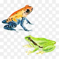 青蛙不同颜色手绘合集