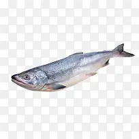 日式料理海鱼