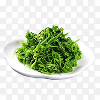 特色龙须菜