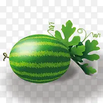 绿色大西瓜