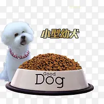 小型幼犬宠物店宣传