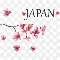 日本杂志特点日本樱花