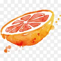 橙子切面图