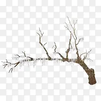 冰雪覆盖树枝