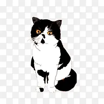 大猫