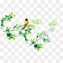 卡通手绘绿枝上的小鸟