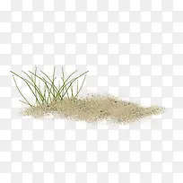 一棵草跟一堆沙