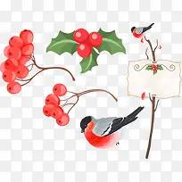 卡通红果小鸟绿叶