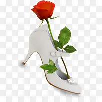 一枝玫瑰放在鞋子上