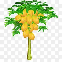 木瓜树