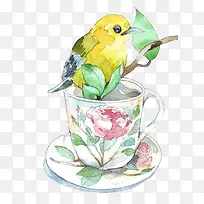 茶杯和小鸟